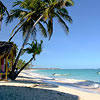 Punta Cana 多米尼加共和国 酒店