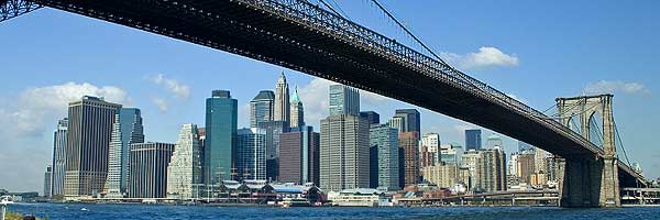 New York 345 Hotels
